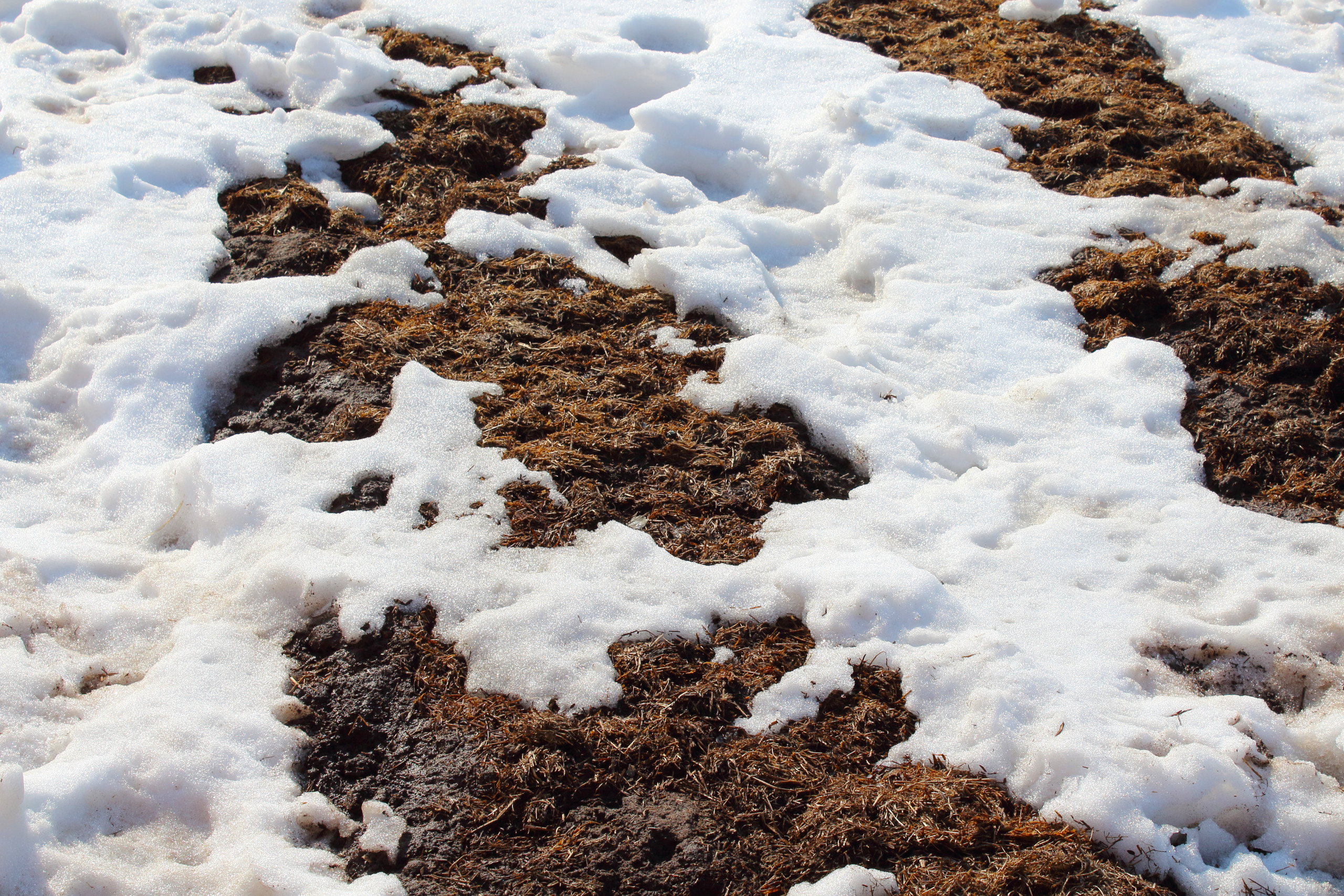 colorado foundation problems due to soil