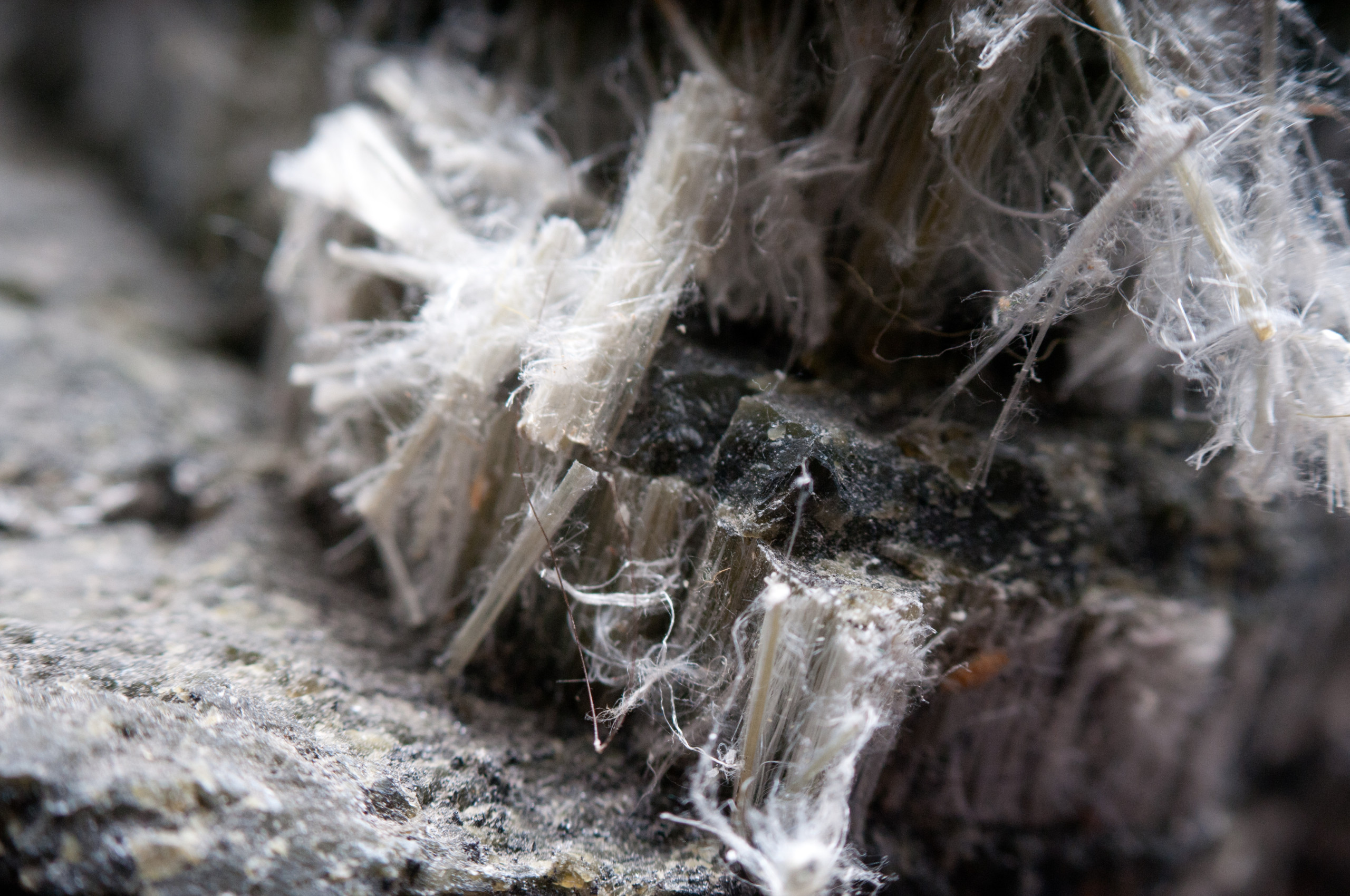 kitchen renovation risks asbestos