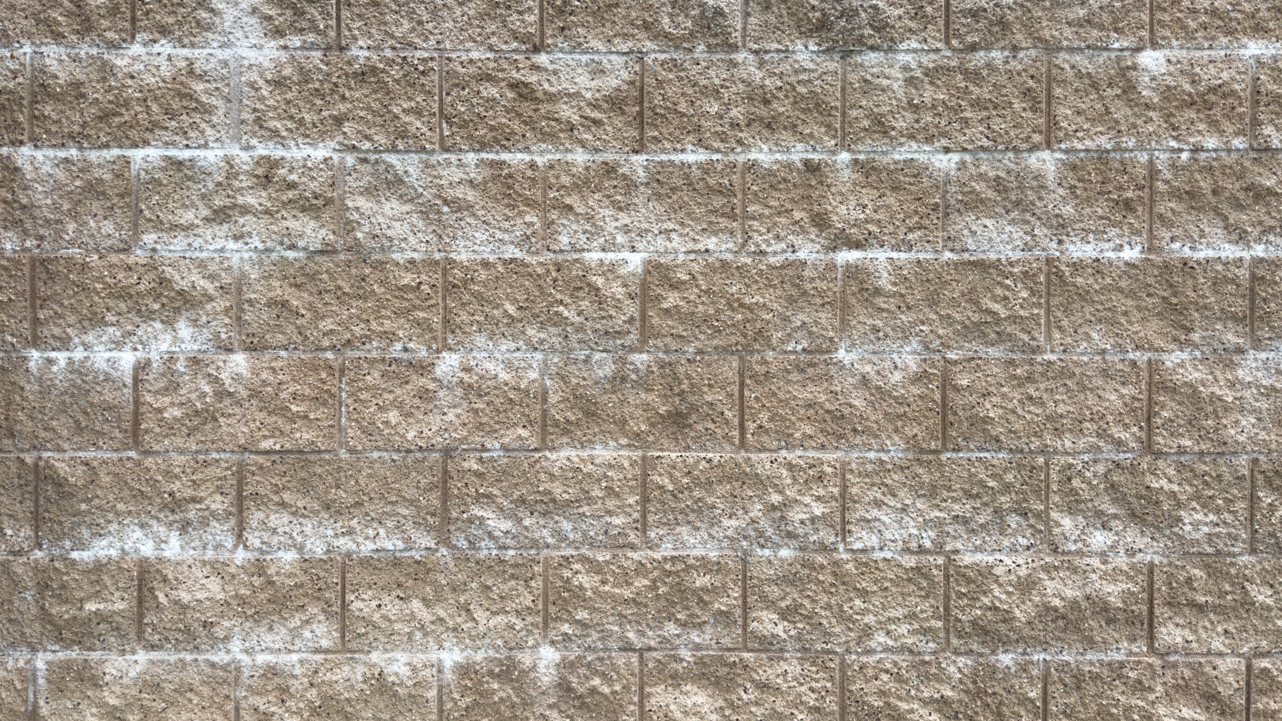 efflorescence